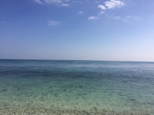 竹富島で見た海の写真