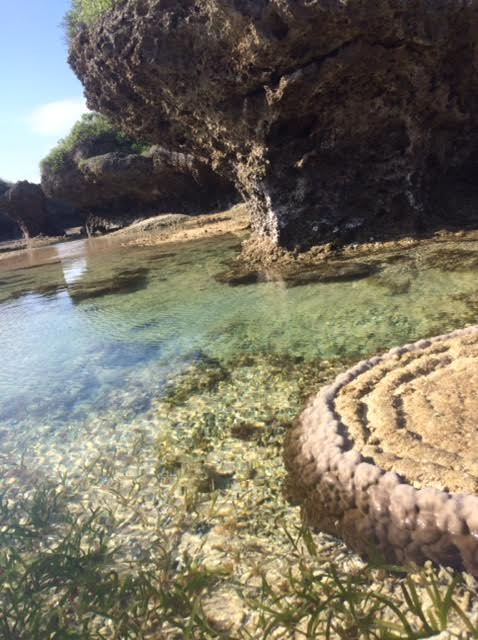 西表島一周ドライブで訪れた星砂の浜の写真