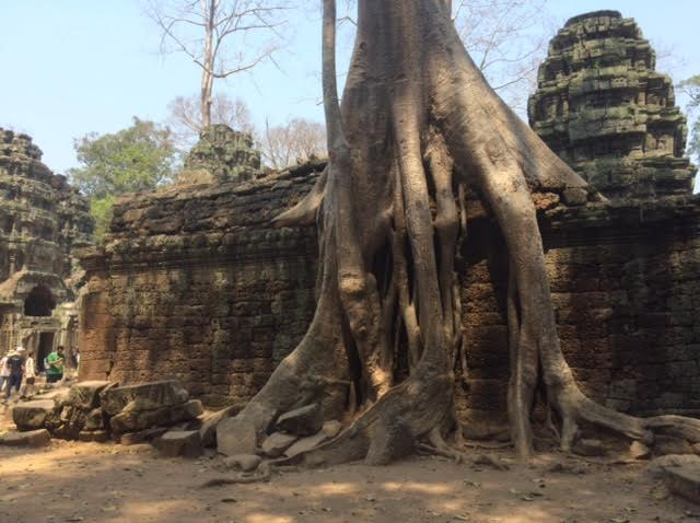 カンボジアのオプショナルツアーで見たタプローム遺跡の写真