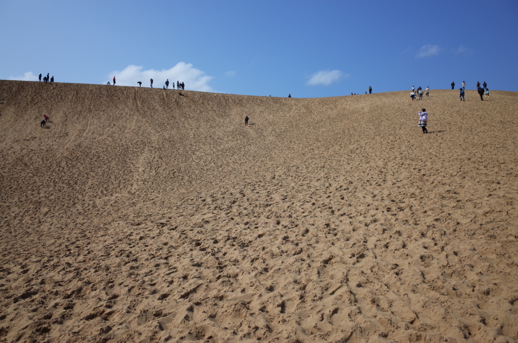 大阪から日帰りで訪れた昼間の鳥取砂丘の写真
