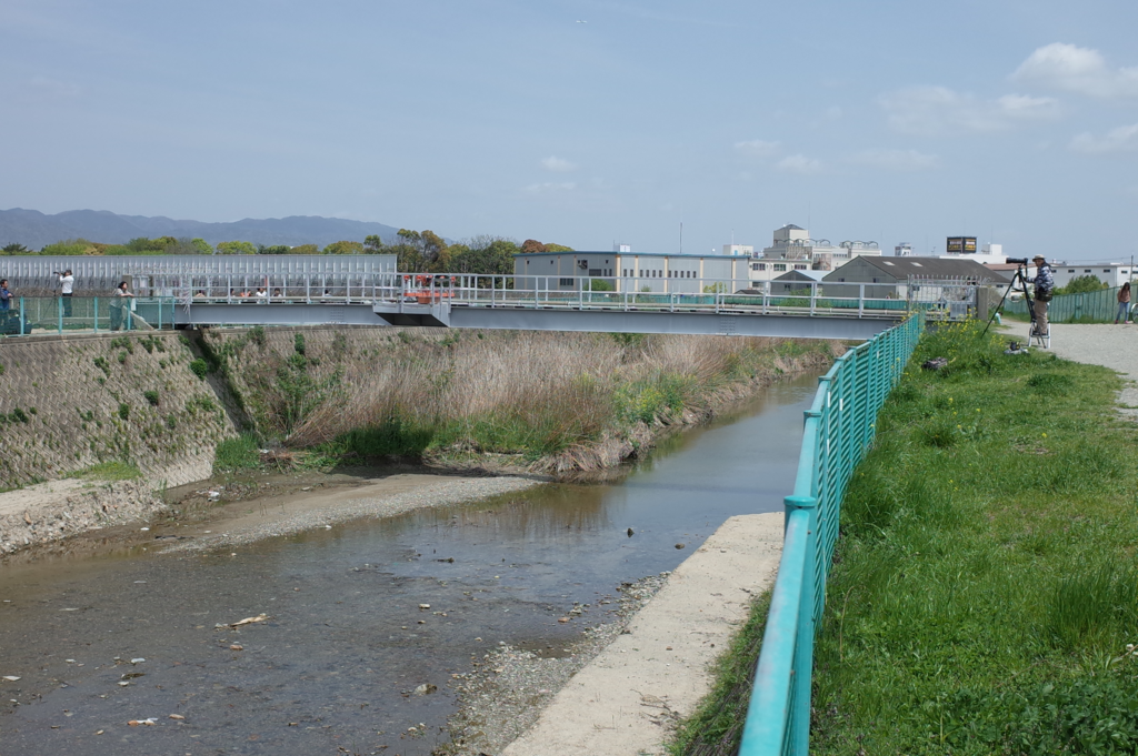 バイクで訪れた千里川土手の写真