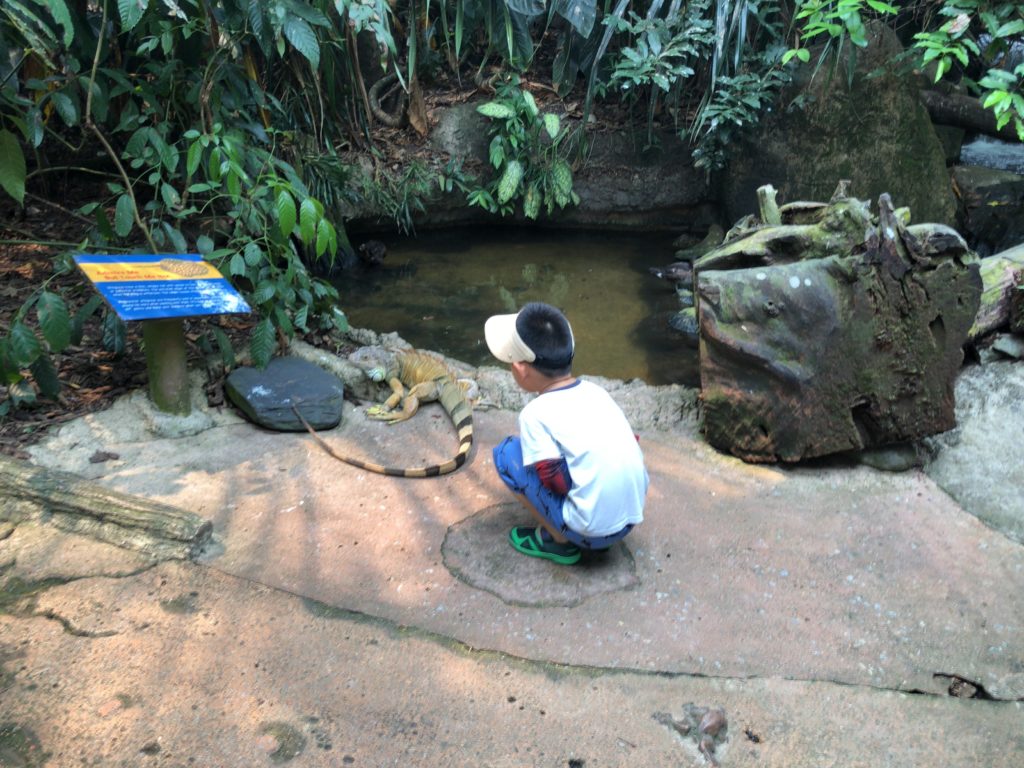 シンガポール動物園の写真