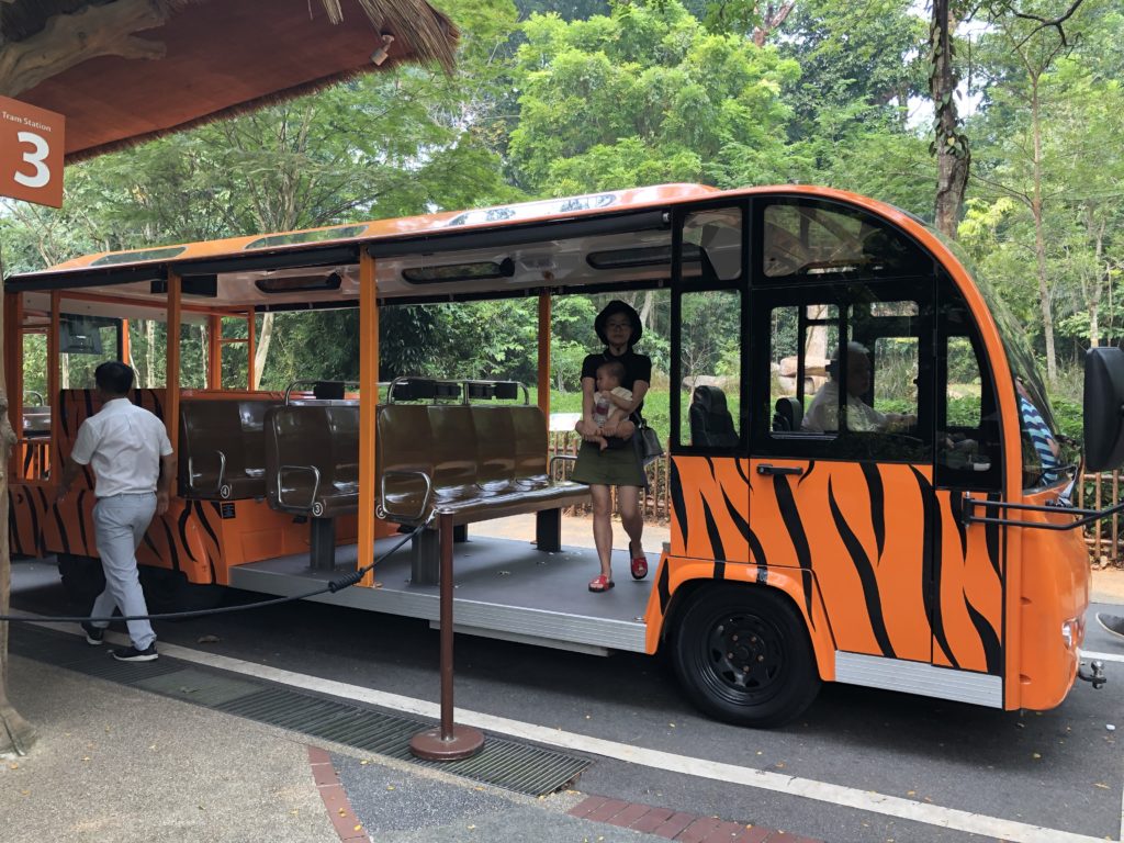 シンガポール動物園のトラム