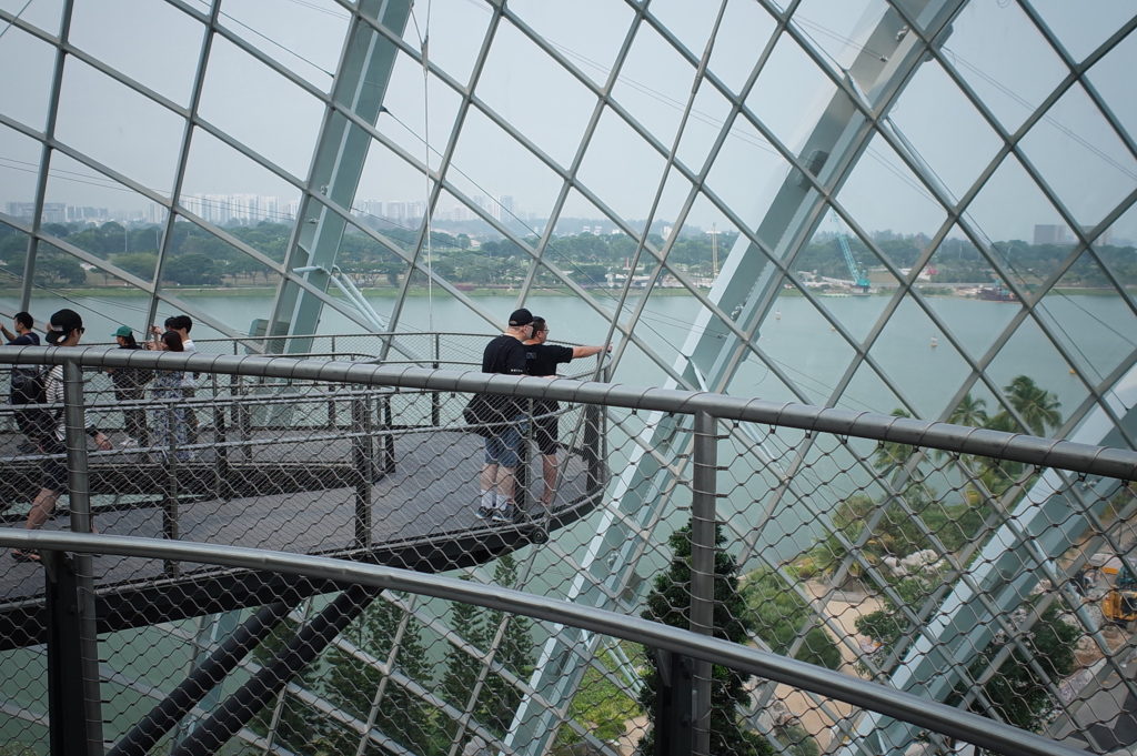 女ひとり旅で訪れたクラウドフォレストの写真